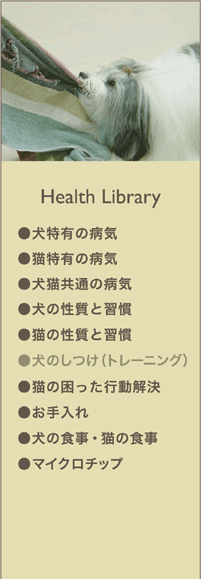 Health Library