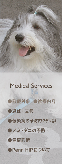 medical Services