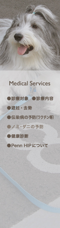 Medical Services