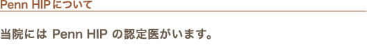 Penn HIP�ɂ���